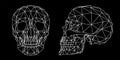 Human skull, front and side view, geometric polygons and triangles cranium line art