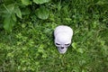 Human skull lying in green grass, view from above.