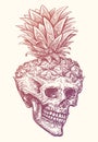 Human skull pineapple. Hand drawn vintage sketch vector illustration