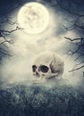 Human skull on stone against spooky sky. Halloween scene