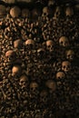 Human skulls in the catacombs of Paris