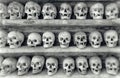 Human skulls inside a catacomb. Royalty Free Stock Photo