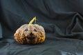 Human skulls and pumpkin on black background, Halloween day background