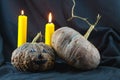 Human skulls and pumpkin on black background, Halloween day background