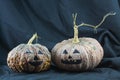 Human skulls and pumpkin on black background, Halloween day background