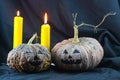 Human skulls and pumpkin on black background, Halloween day background