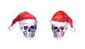 Human skulls in red santa hats. Christmas watercolor Royalty Free Stock Photo