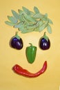 Human smile with healthy food. Composition and creativity with peppers, bay leaf and eggplant. Royalty Free Stock Photo