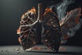 Human smoker lungs, stop smoking, no tobacco, harmful effects of nicotine, drug death, social health problem bad