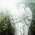 Human soul with wings in the rays of light. Symbolic photography. Angel, Christianity, religion, death concept