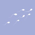 Human sperm swimming in one direction Royalty Free Stock Photo