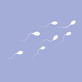 Human sperm swimming in one direction Royalty Free Stock Photo