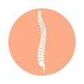 Human spinal column in the circle Royalty Free Stock Photo