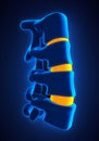 Human Spine Anatomy Royalty Free Stock Photo