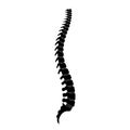 Human spine anatomy vector illustration Royalty Free Stock Photo