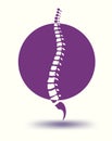 Human spine backbone in violet circle