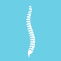 Human spine and correct posture vector icon Royalty Free Stock Photo
