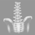 Human spine hip lumbar radiculitis pain low poly. Geometric Royalty Free Stock Photo