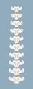 Human spine icon vector. Vertebral discs for medical application or web. Spine pain, problems, scoliosis