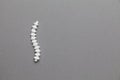 Human spine model on a gray background. Disc protrusion treatment. Space for text