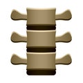 Human spine vertebrae front view