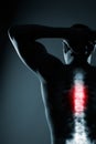 Human spine in x-ray on gray background. Royalty Free Stock Photo