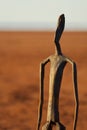 Human statue at Lake Ballard