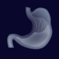 Human stomach, digestive system. Transparent organs on a dark background. Vector illustration