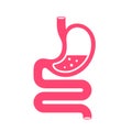 Human stomach and gastrointestinal system icon Royalty Free Stock Photo