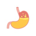 Human stomach icon