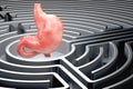 Human stomach inside labyrinth maze. 3D rendering