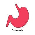 Human stomach. Internal organ, anatomy. Vector cartoon flat icon illustration isolated on white background. Illustration from Royalty Free Stock Photo