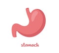 Human stomach. Internal organ, anatomy. Vector flat icon illustration isolated on white background Royalty Free Stock Photo