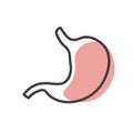 Human stomach linear icon.