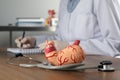 Human stomach model with stethoscope and gastroenterologist at table in clinic