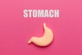 Human stomach on a pink background. Treatment of pain and inflammation. Symptom of gastritis and heartburn