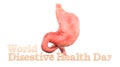 Human stomach with text World Digestive Health Day. 3D rendering