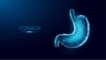 Human stomach. Wireframe low poly style. Abstract modern 3d vector illustration on dark blue background. Royalty Free Stock Photo