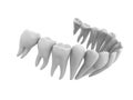 Human teeth Royalty Free Stock Photo