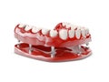 Human teeth and Dental implant. 3d illustration