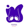 Human testes body organ silhouette pictogram icon