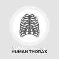 Human thorax flat icon Royalty Free Stock Photo