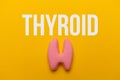 Human thyroid gland on a yellow background. Treatment and prevention of the endocrine system. Symptoms of the disease and