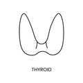 Human thyroid icon line in vector, illustration of surface structures. Royalty Free Stock Photo