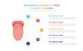 Human tongue anatomy infographic template concept with five points list and various color with clean modern white background -