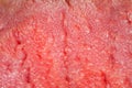 Human tongue texture