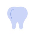 Human tooth, blue healthy molar simple model with roots and crown