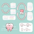 Human tooth cartoon anatomy chart Royalty Free Stock Photo