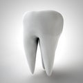 Human tooth 3D render