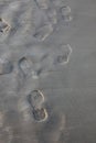 Human trace on sand Royalty Free Stock Photo